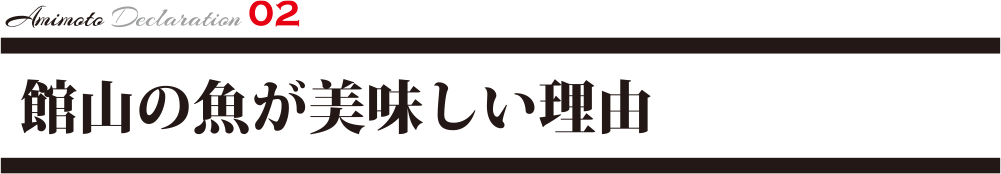 館山の魚が美味しい理由