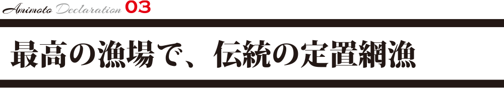 最高の漁場で、伝統の定置網漁