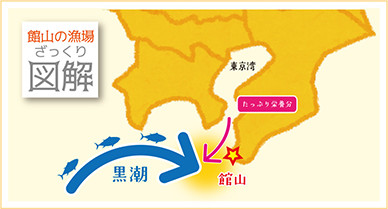 館山の漁場 ざっくり図解
