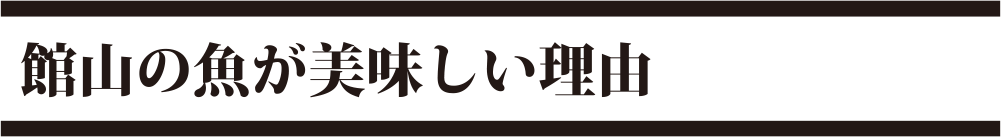 館山の魚が美味しい理由